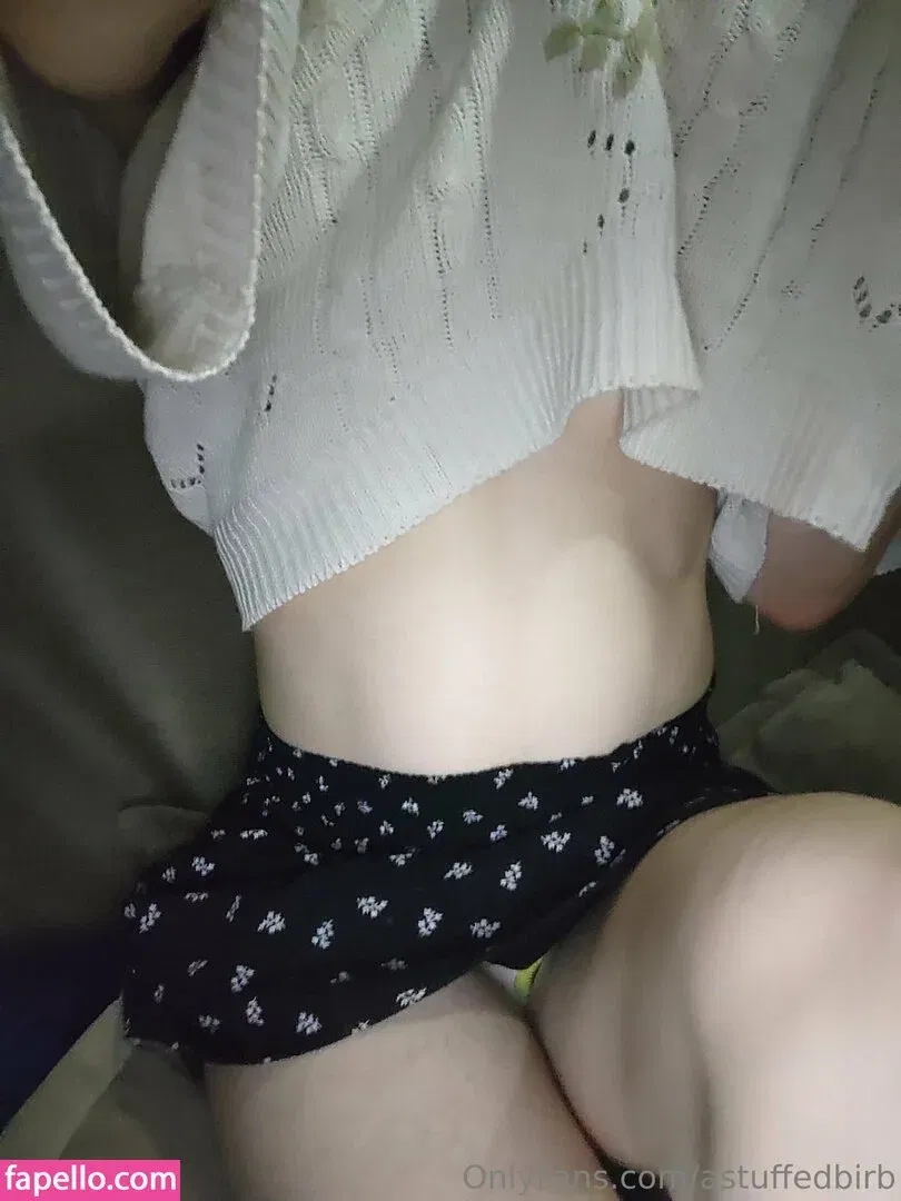 astuffedbirb / birdyinstagram Onlyfans Photo Gallery 