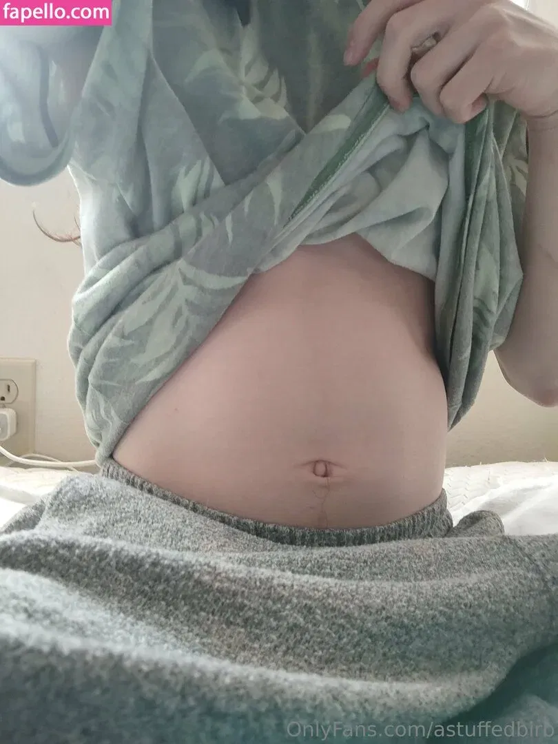 astuffedbirb / birdyinstagram Onlyfans Photo Gallery 