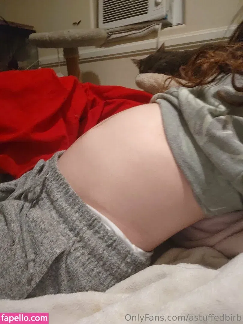 astuffedbirb / birdyinstagram Onlyfans Photo Gallery 