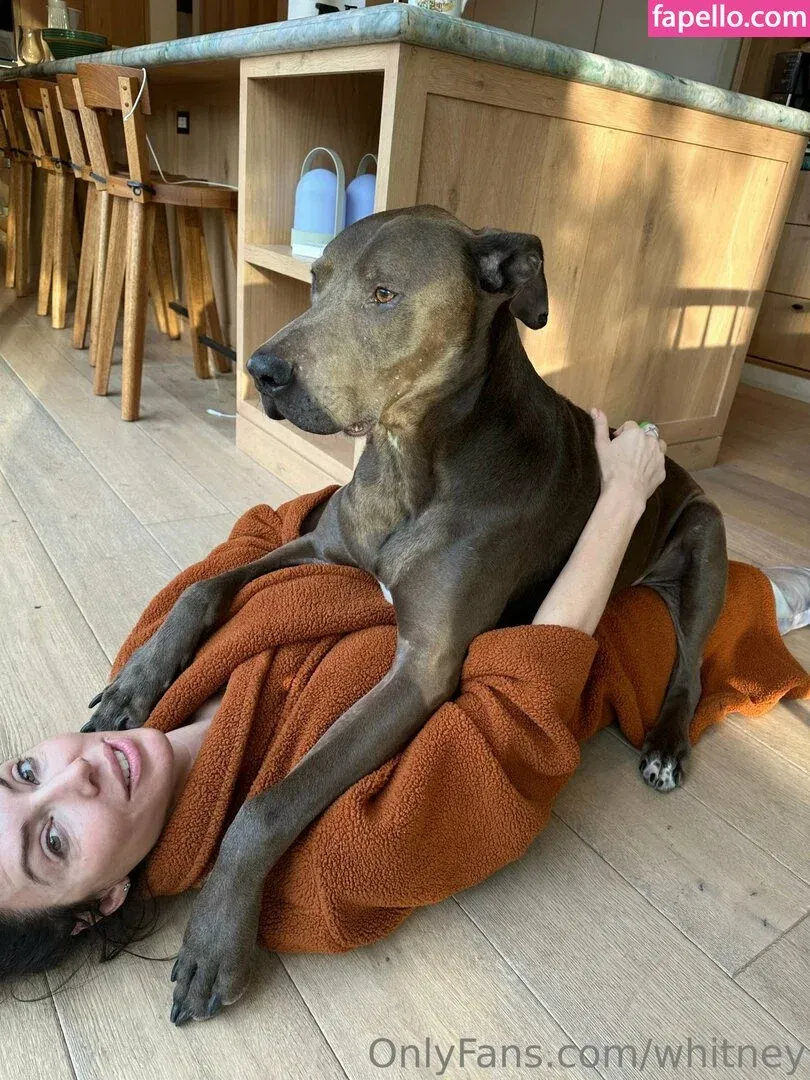 Whitney Cummings / whitneycummings Onlyfans Photo Gallery 