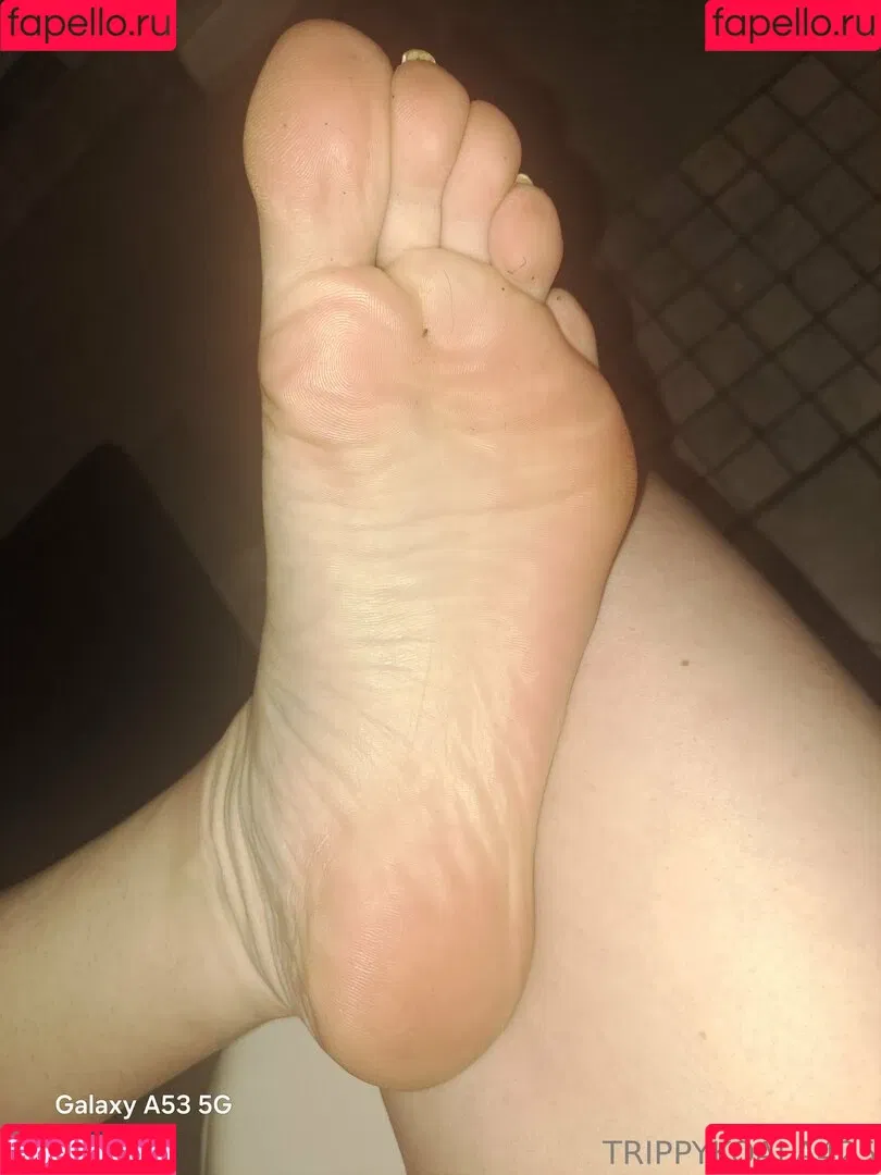trippykoala425 Onlyfans Photo Gallery 
