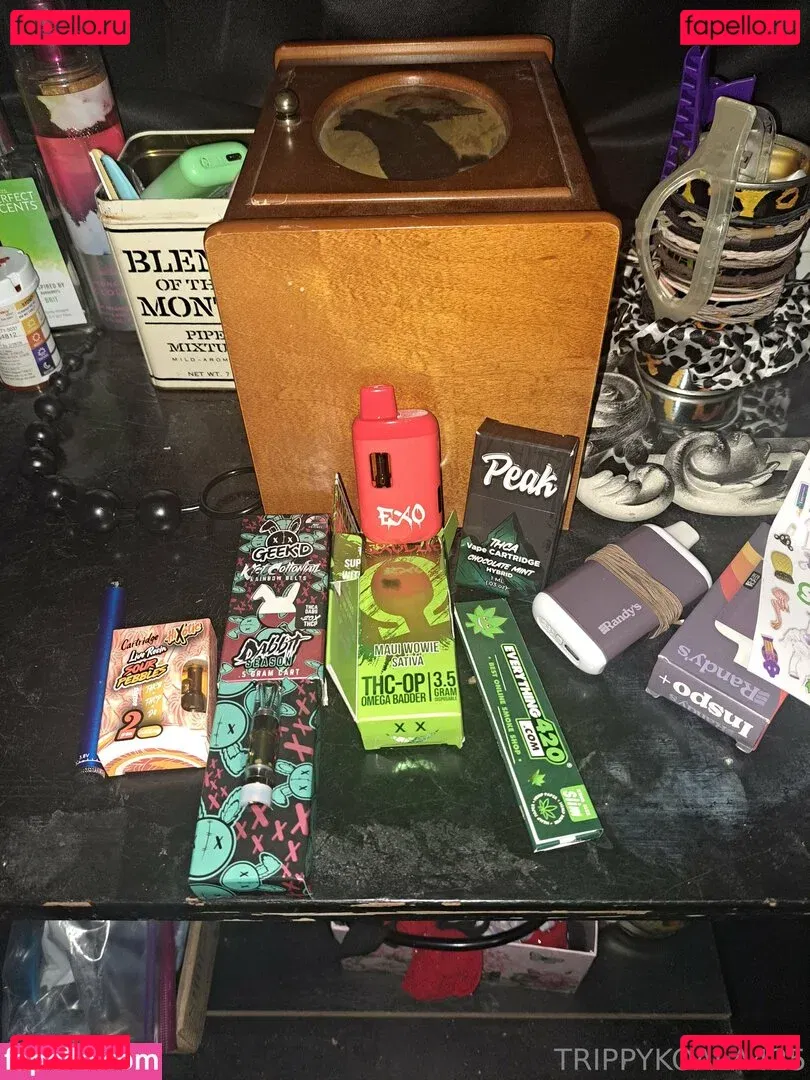 trippykoala425 Onlyfans Photo Gallery 