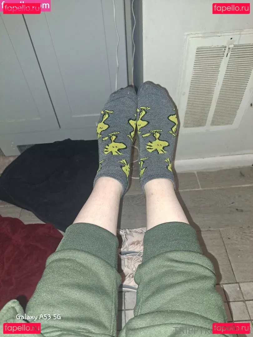 trippykoala425 Onlyfans Photo Gallery 