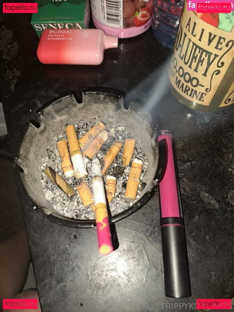 trippykoala425 Onlyfans Photo Gallery 