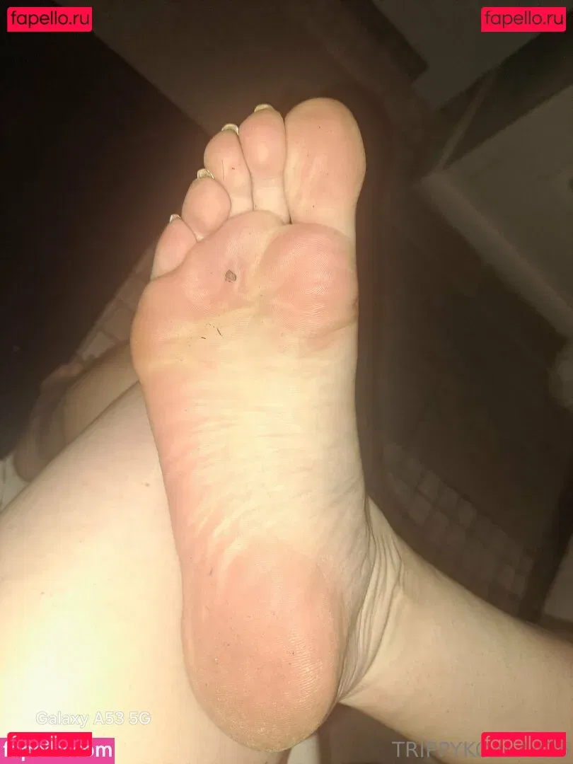 trippykoala425 Onlyfans Photo Gallery 