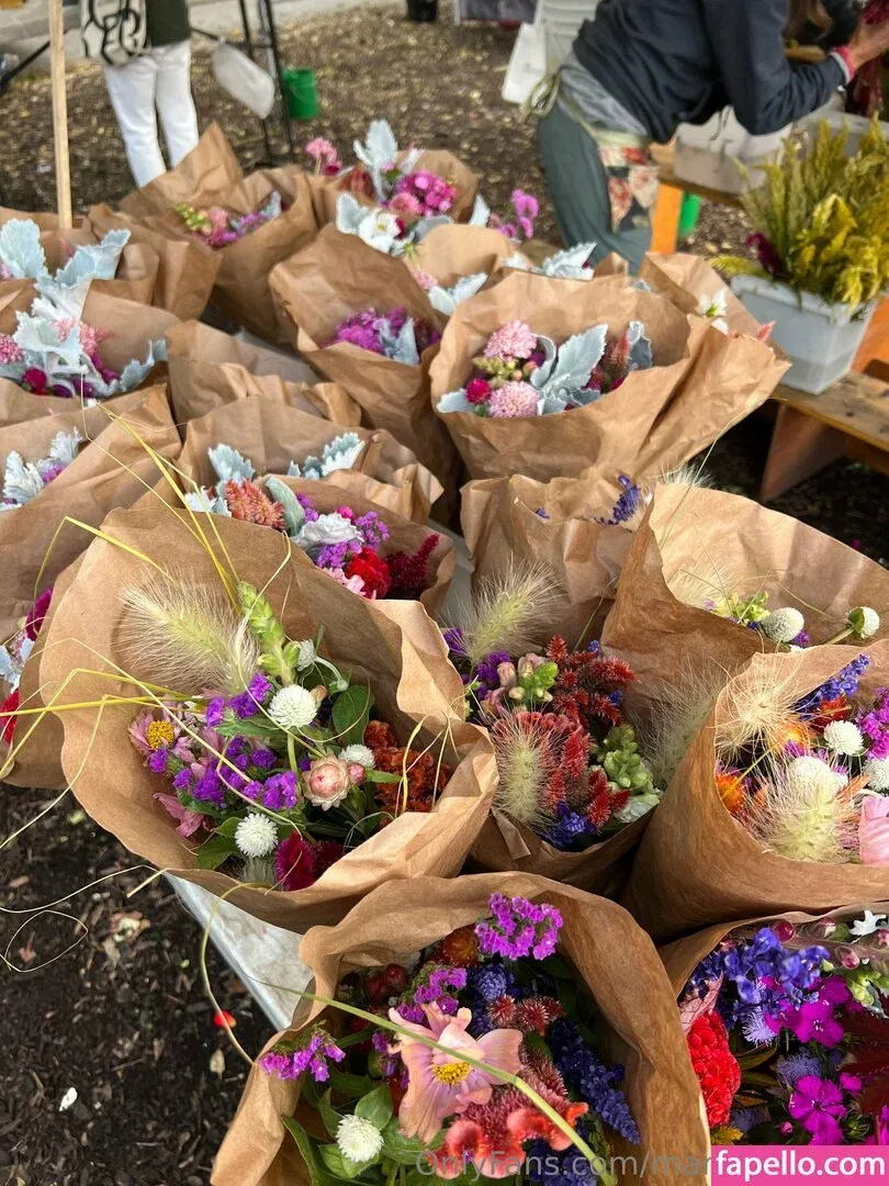 marielivewell / marillewellyn Onlyfans Photo Gallery 