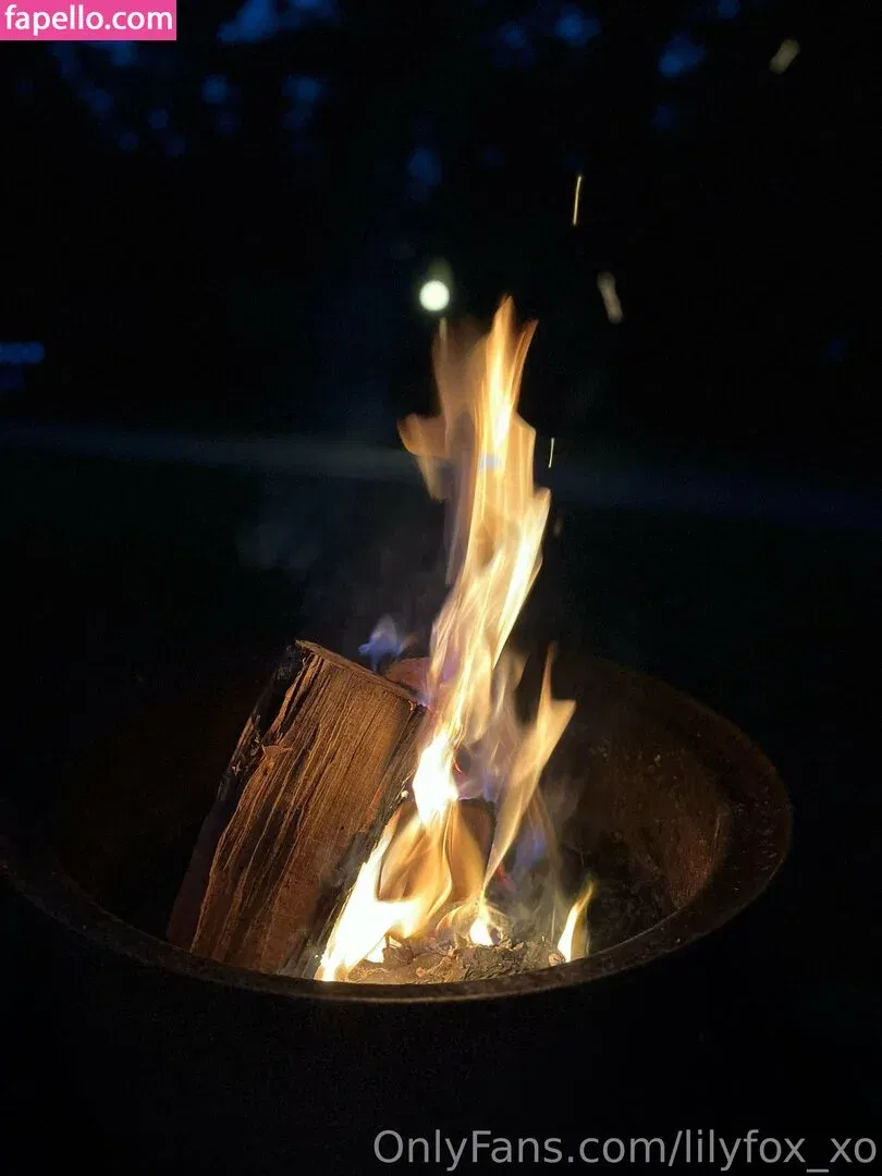 lilyfox_xo / xo.lily.ox Onlyfans Photo Gallery 