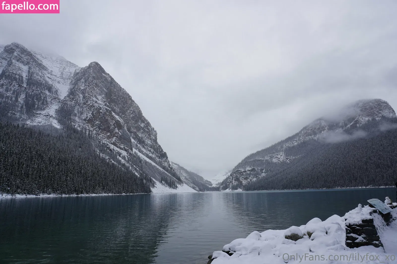 lilyfox_xo / xo.lily.ox Onlyfans Photo Gallery 