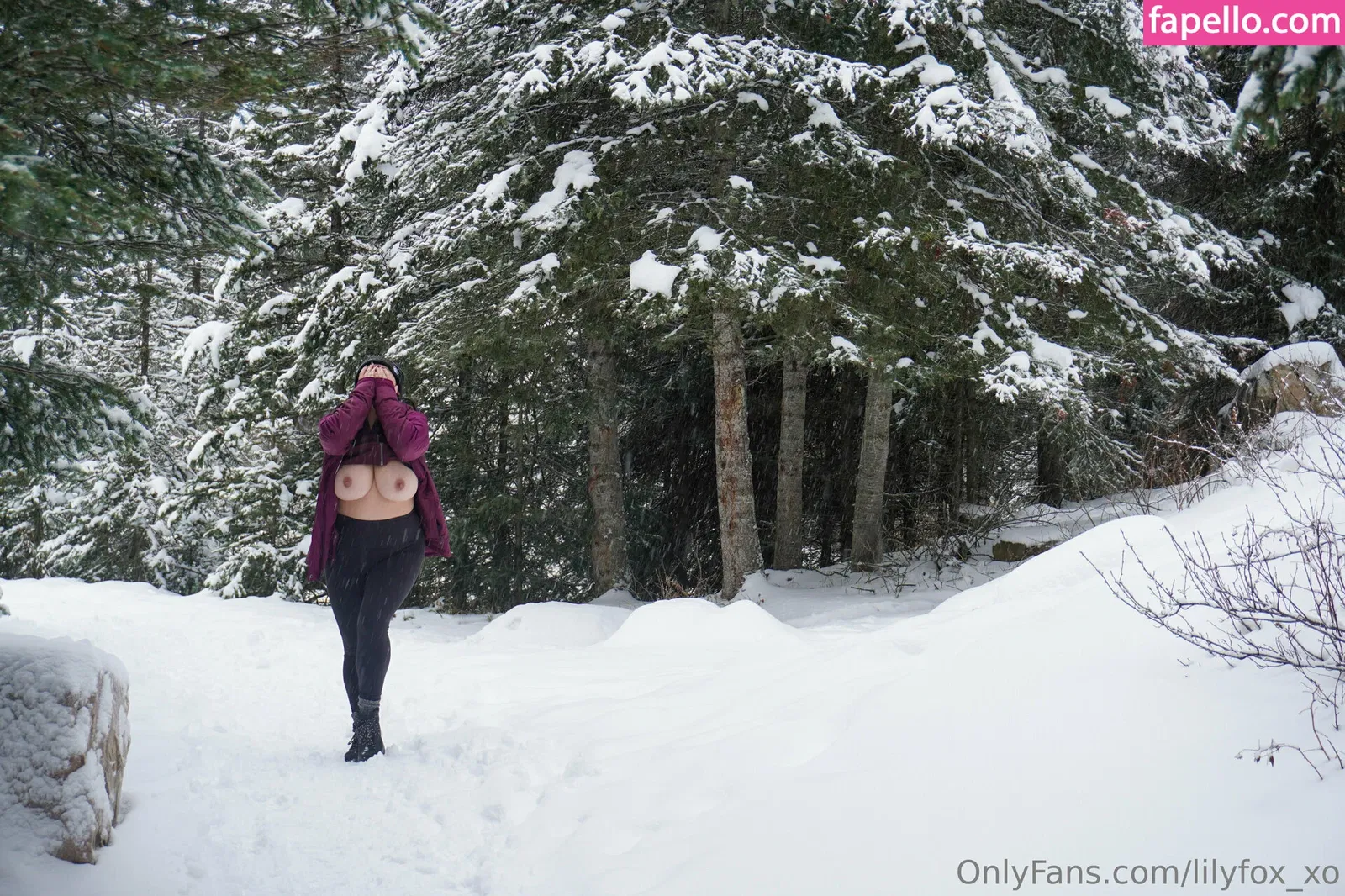 lilyfox_xo / xo.lily.ox Onlyfans Photo Gallery 