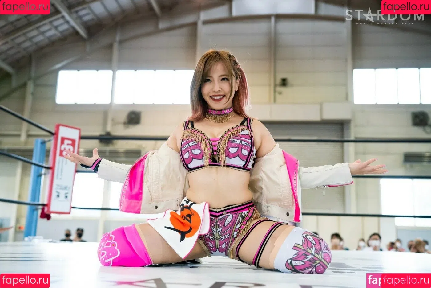 Mina Shirakawa / mina_shirakawa Onlyfans Photo Gallery 