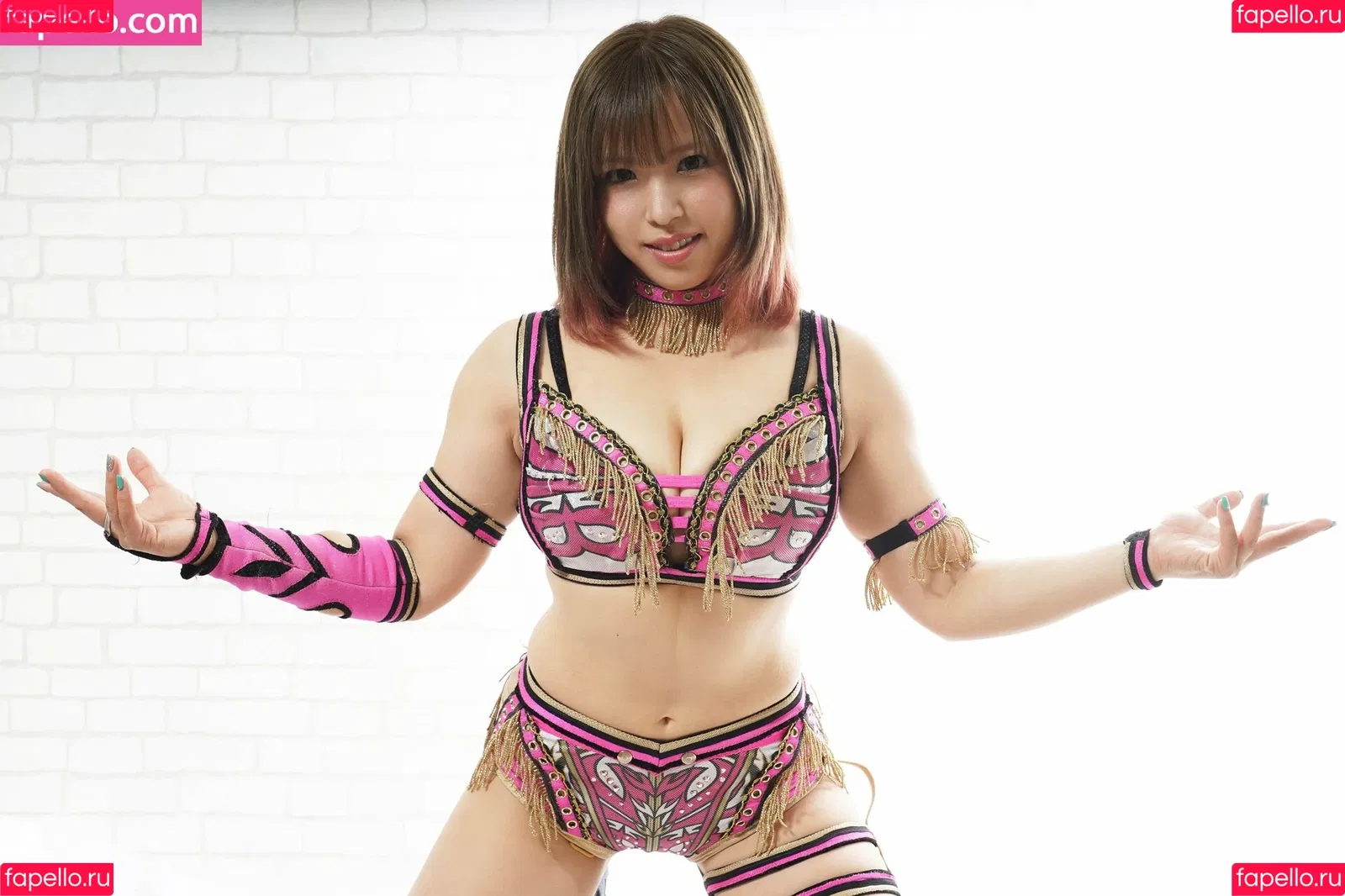 Mina Shirakawa / mina_shirakawa Onlyfans Photo Gallery 