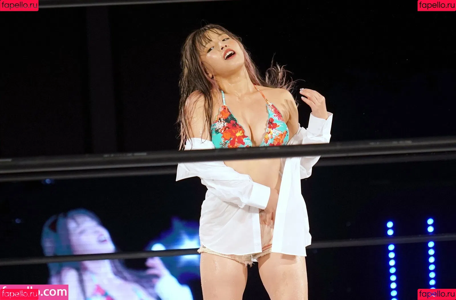 Mina Shirakawa / mina_shirakawa Onlyfans Photo Gallery 