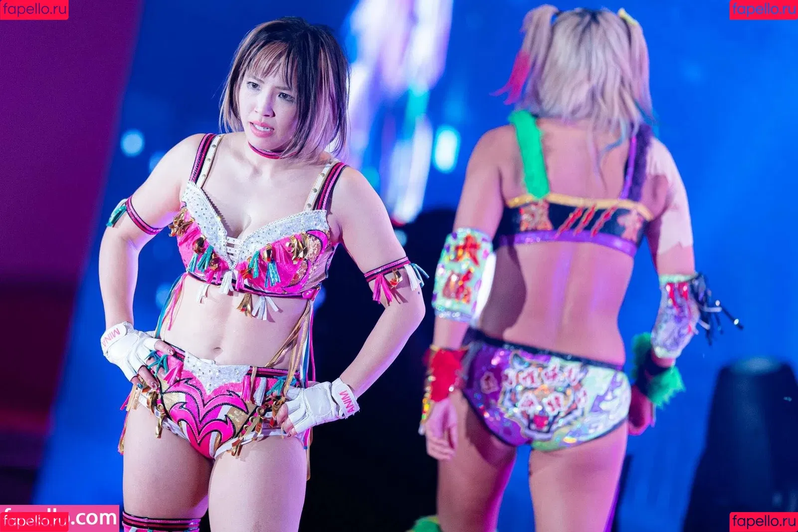 Mina Shirakawa / mina_shirakawa Onlyfans Photo Gallery 
