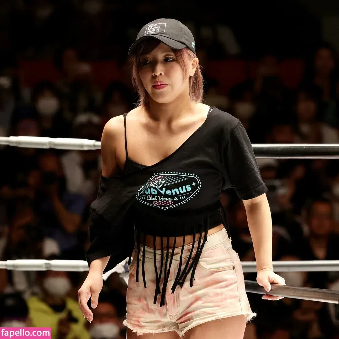 Mina Shirakawa / mina_shirakawa Onlyfans Photo Gallery 