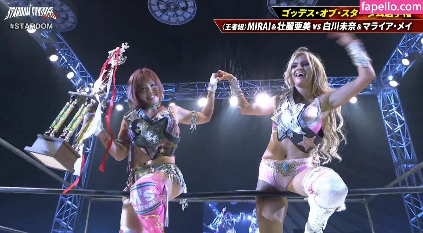 Mina Shirakawa / mina_shirakawa Onlyfans Photo Gallery 