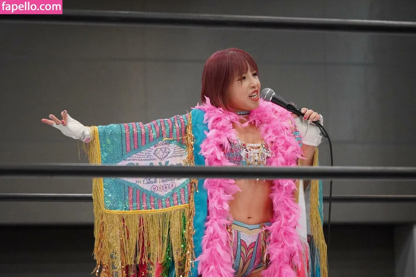 Mina Shirakawa / mina_shirakawa Onlyfans Photo Gallery 