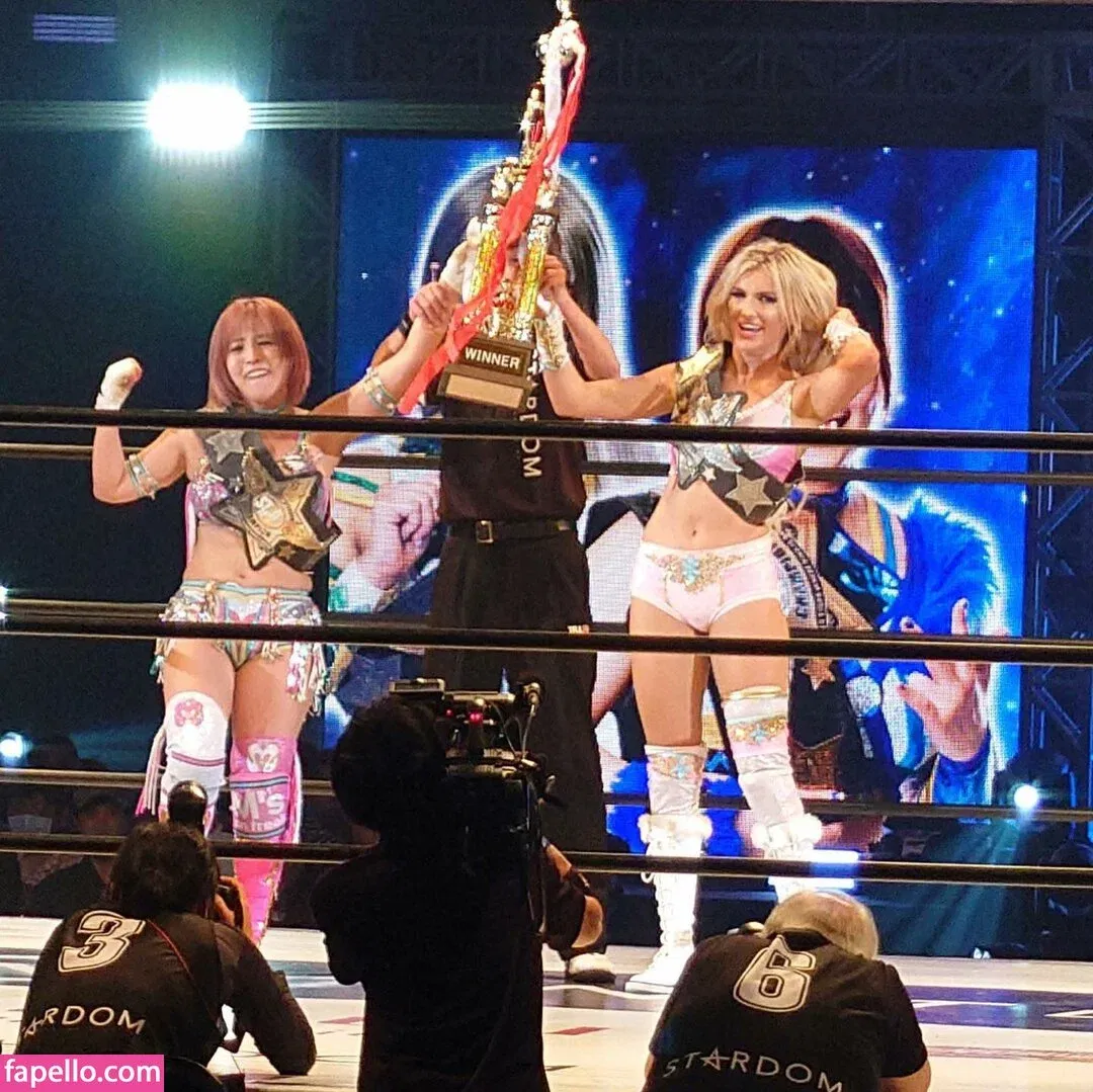 Mina Shirakawa / mina_shirakawa Onlyfans Photo Gallery 