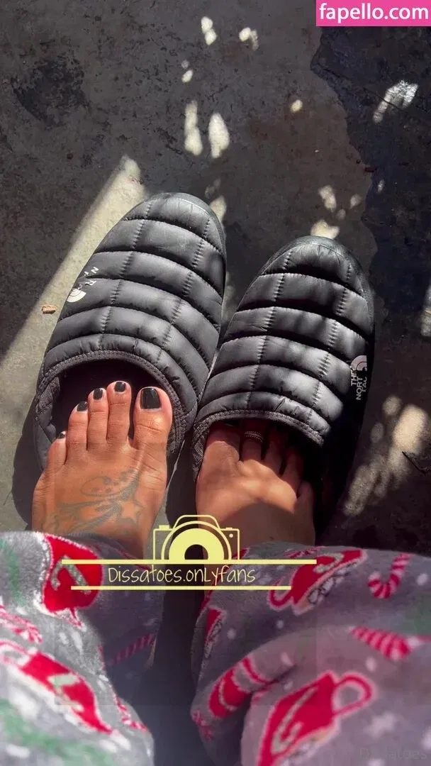 dissa_toes / dissatoes Onlyfans Photo Gallery 