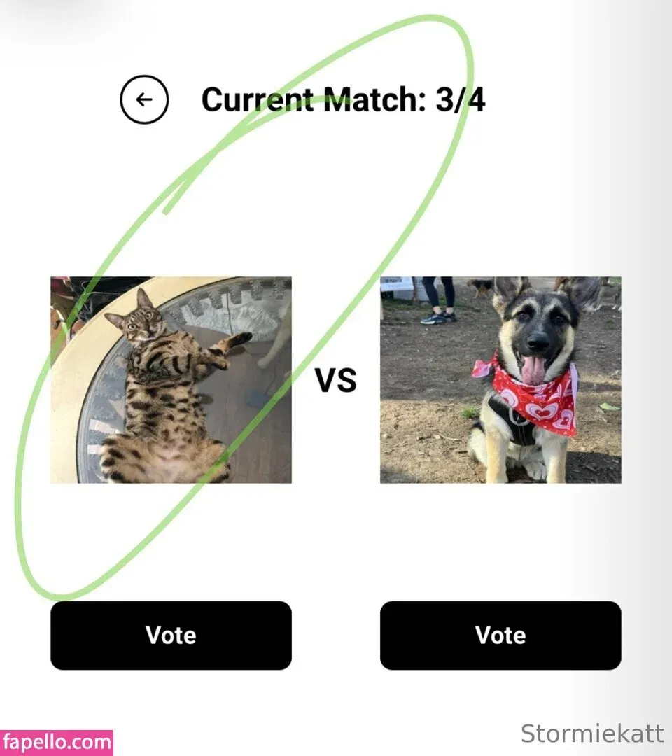 stormie.kat / stormiekatt Onlyfans Photo Gallery 