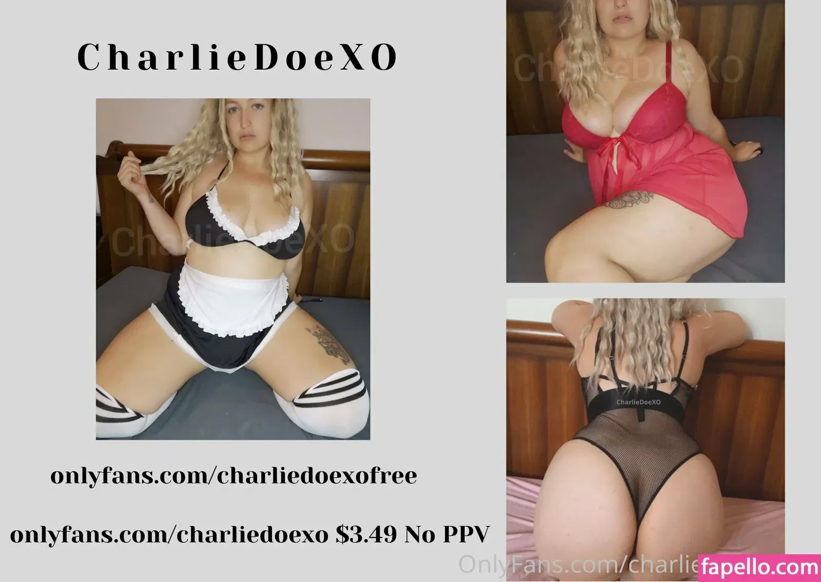 charliedoexofree / charliedoodlefro Onlyfans Photo Gallery 