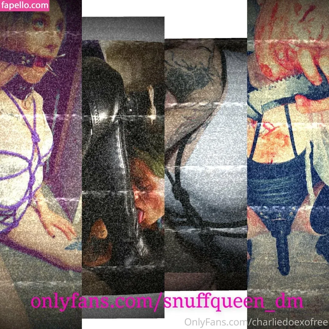 charliedoexofree / charliedoodlefro Onlyfans Photo Gallery 