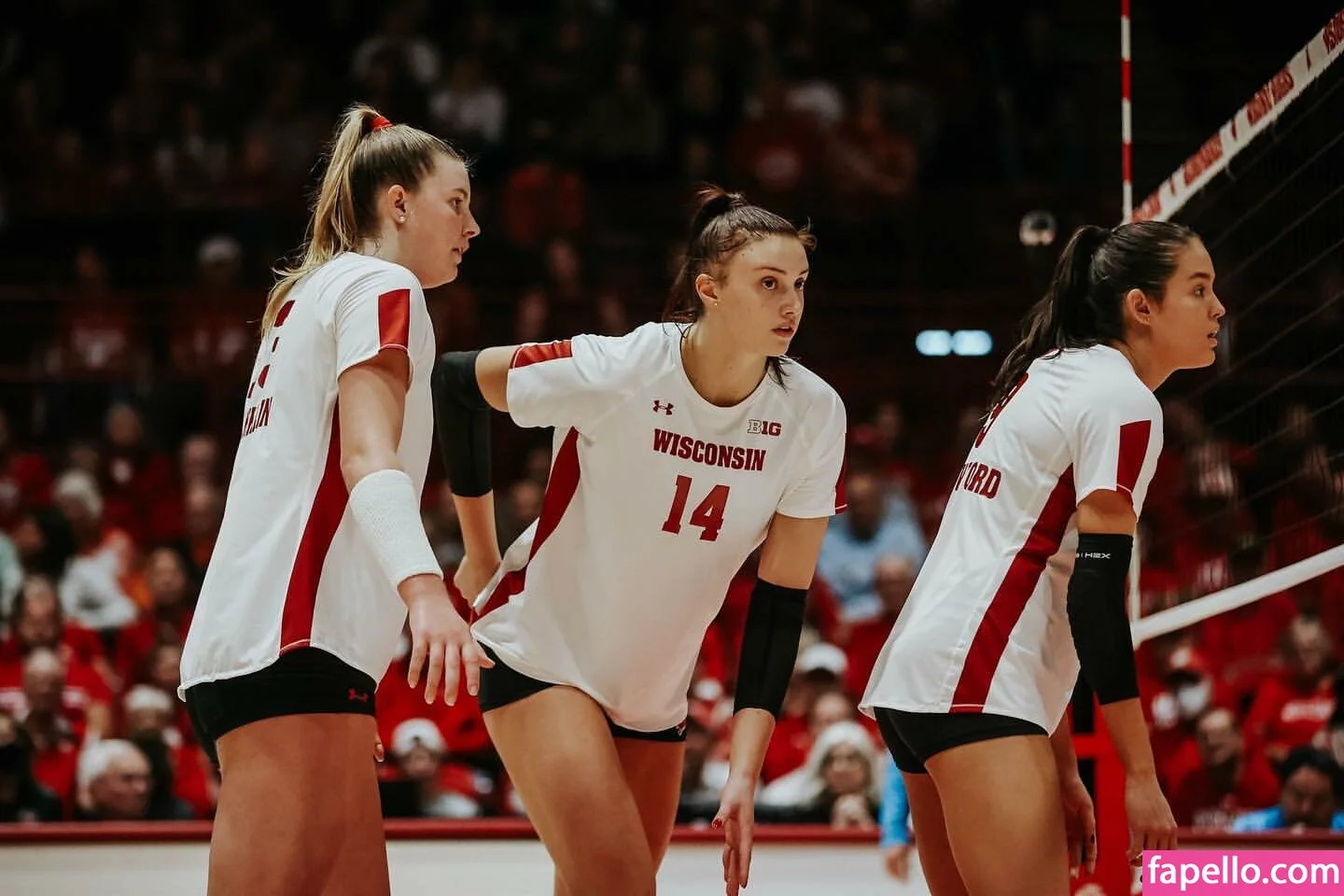 Anna Smrek / anna_smrekk / annasmrek Onlyfans Photo Gallery 