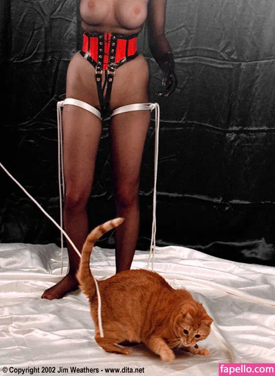 Dita Von Teese / Ditavonteese Onlyfans Photo Gallery 