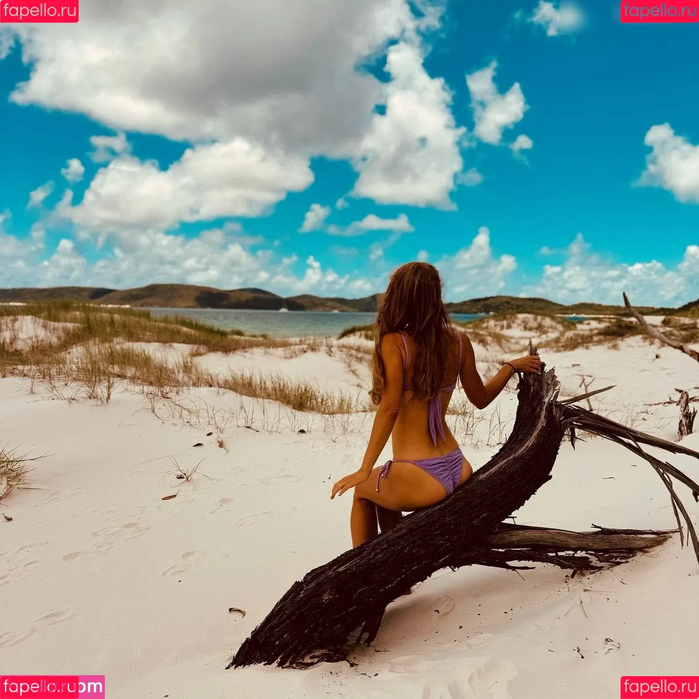 Annemarie Carpendale / Warnkross / annemarie_carpendale / annie_carpendale Onlyfans Photo Gallery 