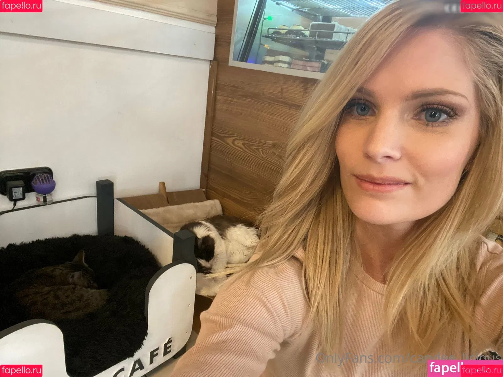 Candee Licious / candee_licious / candee_xxx Onlyfans Photo Gallery 