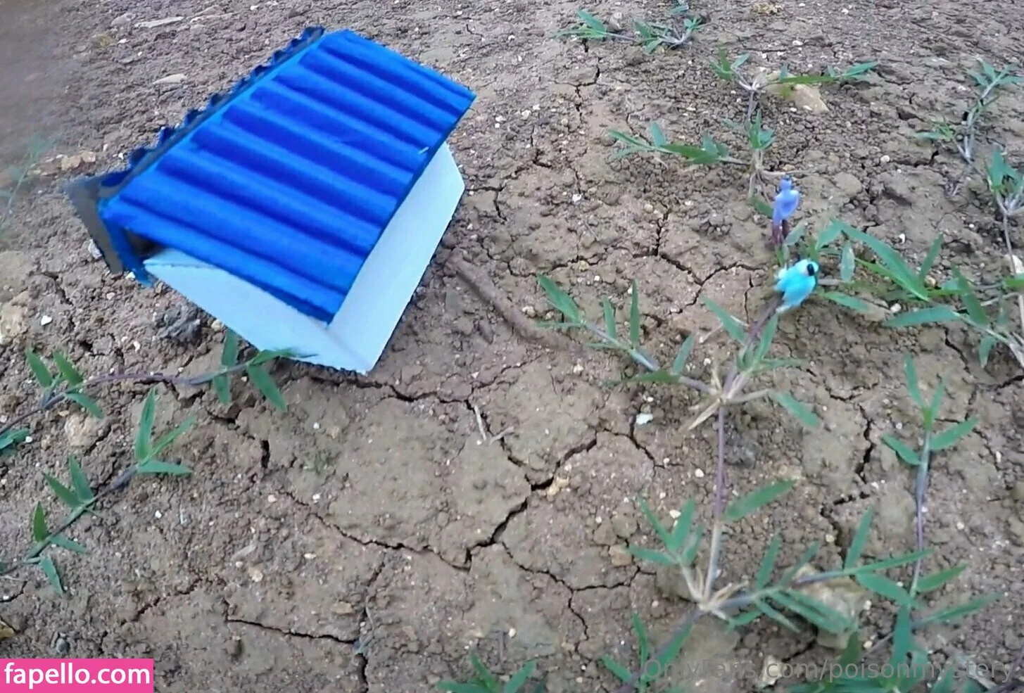 poisonmystery Onlyfans Photo Gallery 