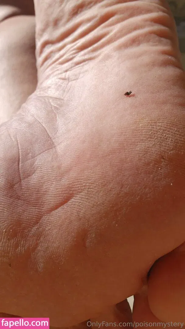 poisonmystery Onlyfans Photo Gallery 