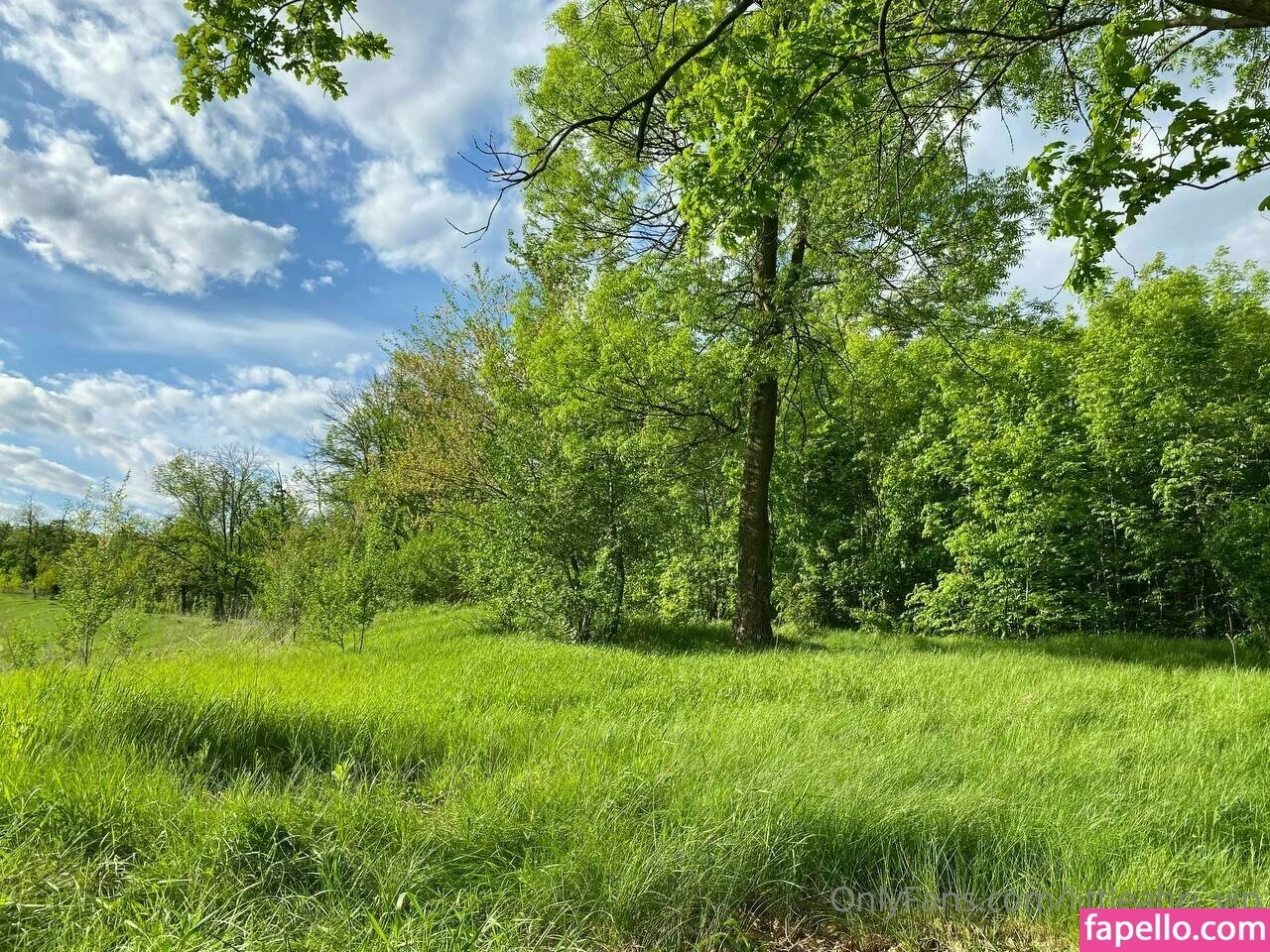 cherrykush6 / eva_taft / eva_ttaf Onlyfans Photo Gallery 