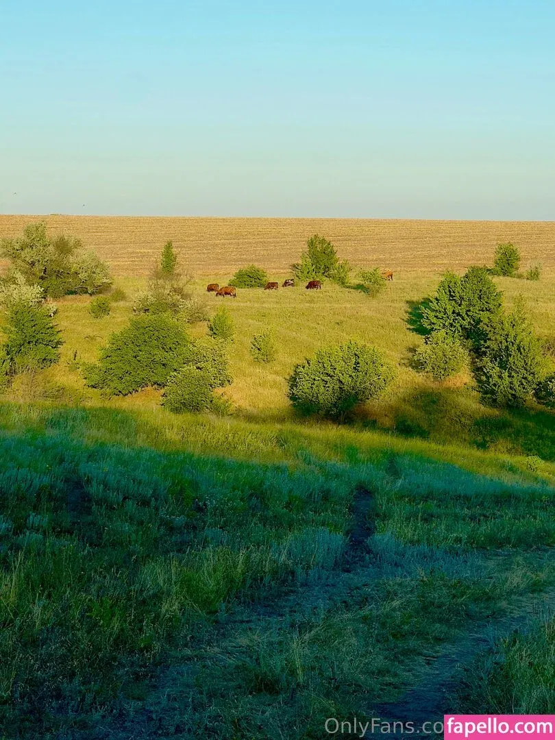 cherrykush6 / eva_taft / eva_ttaf Onlyfans Photo Gallery 