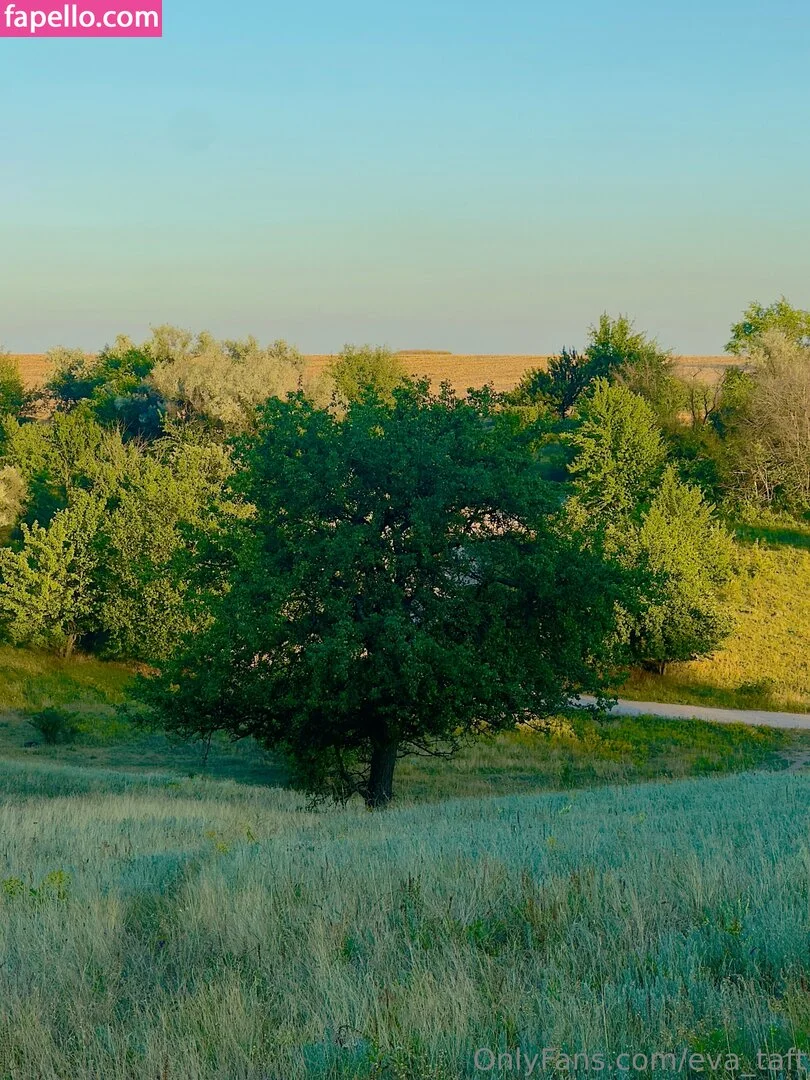 cherrykush6 / eva_taft / eva_ttaf Onlyfans Photo Gallery 