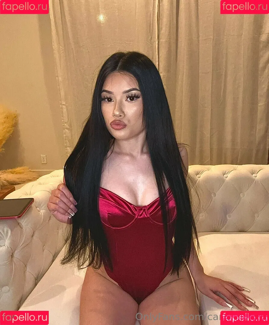_lil_babiii_ / camilababiii Onlyfans Photo Gallery 