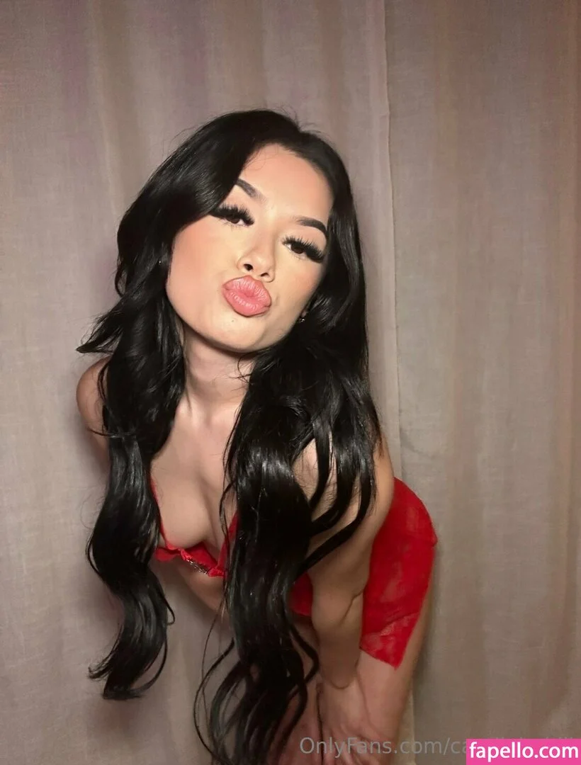 _lil_babiii_ / camilababiii Onlyfans Photo Gallery 