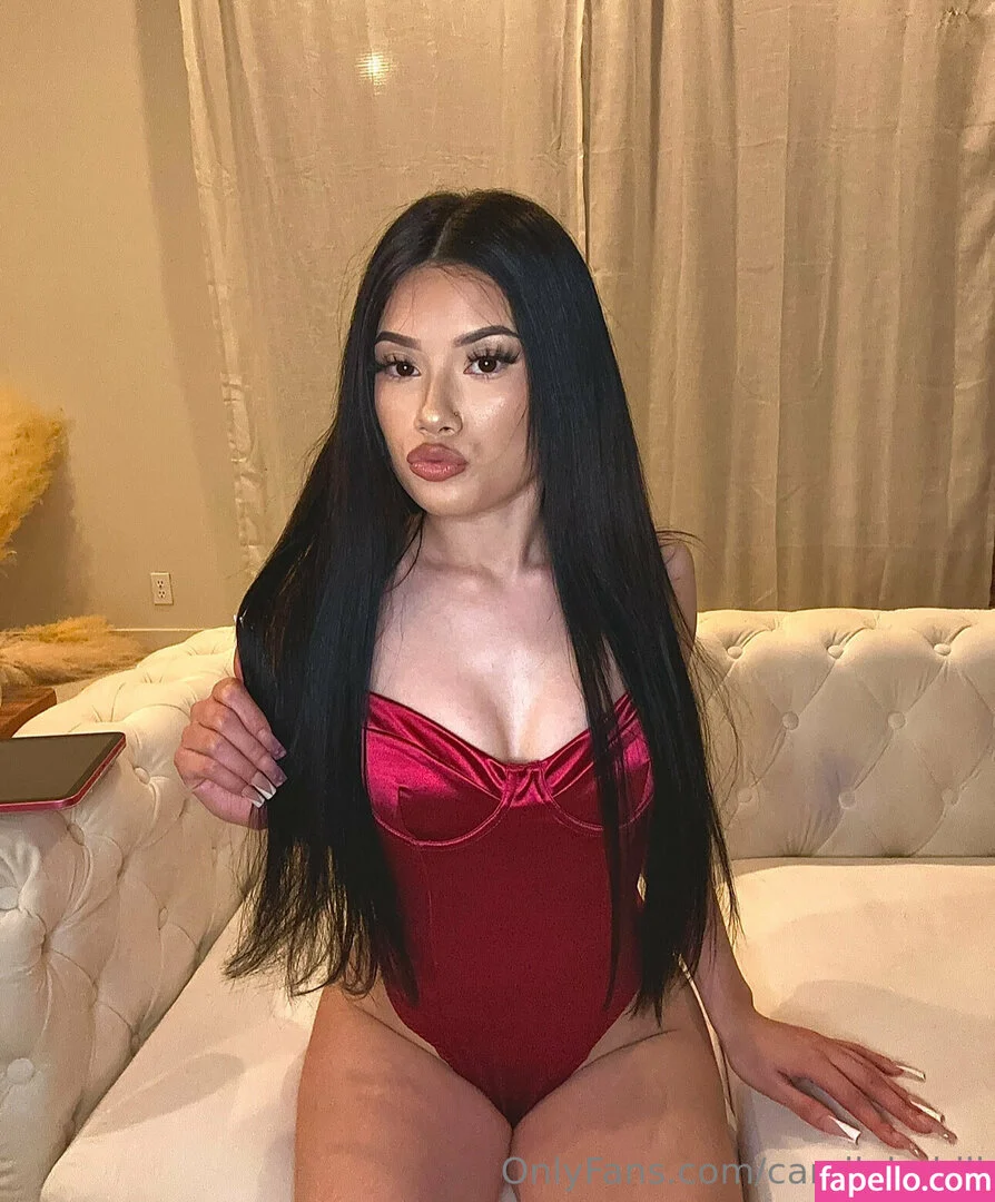_lil_babiii_ / camilababiii Onlyfans Photo Gallery 
