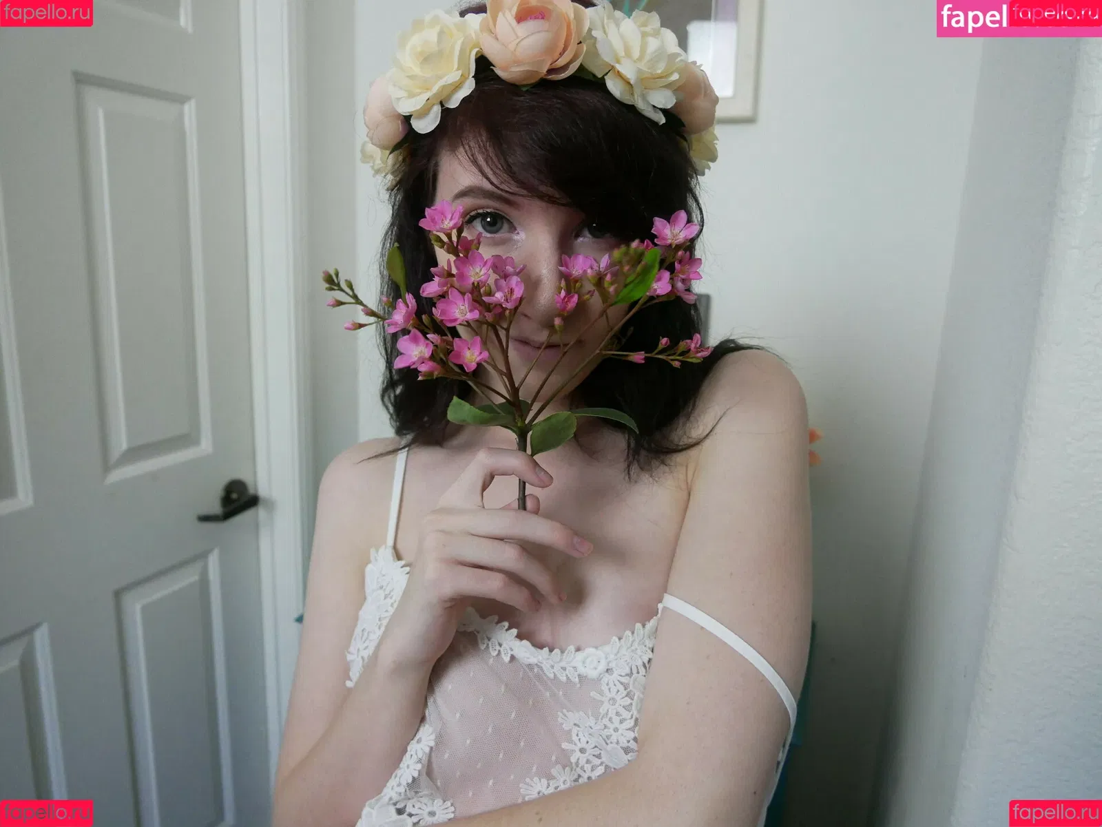 Elizabeth Reed / KawaiiiKitten / KawaiiiKitty / elizabethreed / hi_its_elizabeth_reed Onlyfans Photo Gallery 