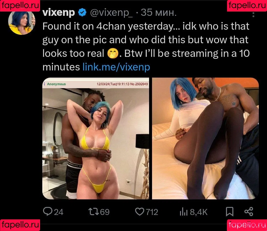 Vixenp / officialvixenv Onlyfans Photo Gallery 