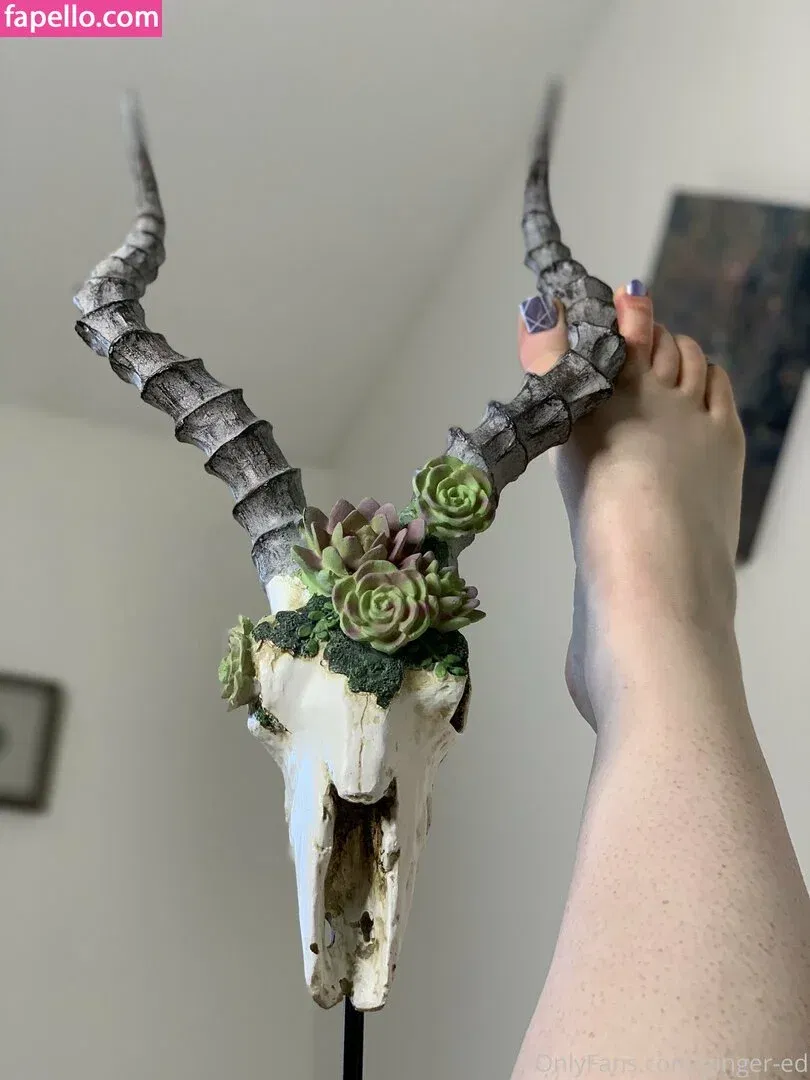 Ginger Ed / ginger-ed / gingered / gingeredT Onlyfans Photo Gallery 