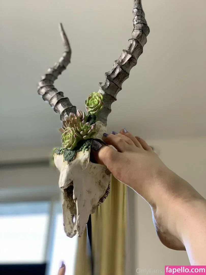 Ginger Ed / ginger-ed / gingered / gingeredT Onlyfans Photo Gallery 