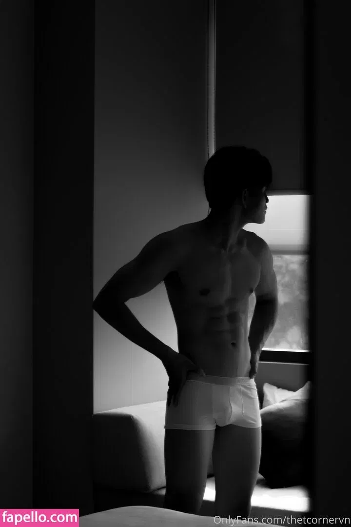 thetcorner / thetcornervn Onlyfans Photo Gallery 