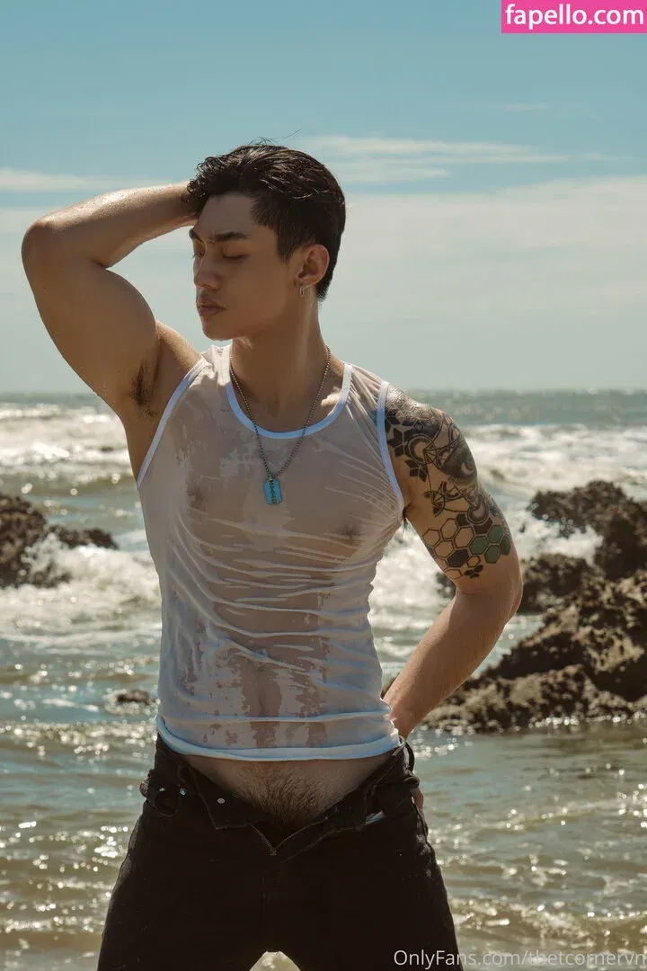 thetcorner / thetcornervn Onlyfans Photo Gallery 