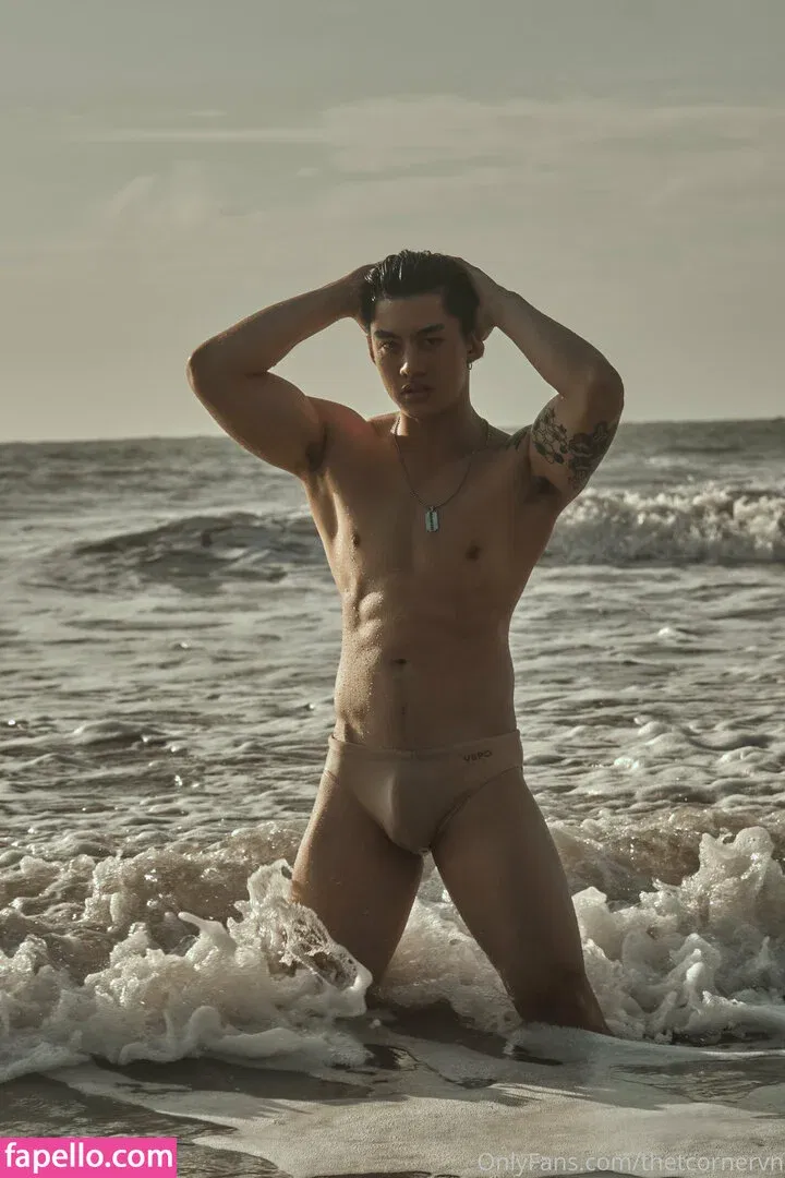 thetcorner / thetcornervn Onlyfans Photo Gallery 