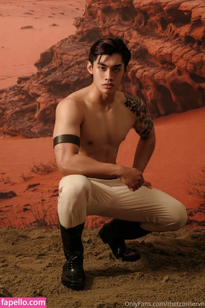 thetcorner / thetcornervn Onlyfans Photo Gallery 