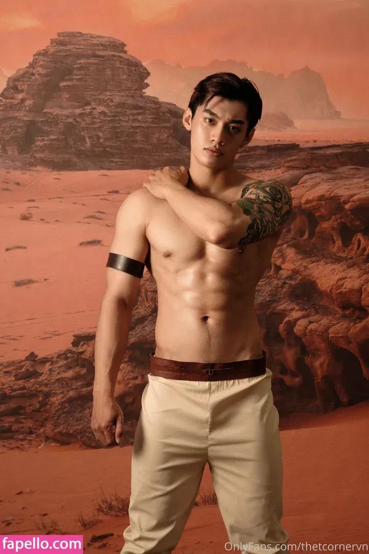 thetcorner / thetcornervn Onlyfans Photo Gallery 