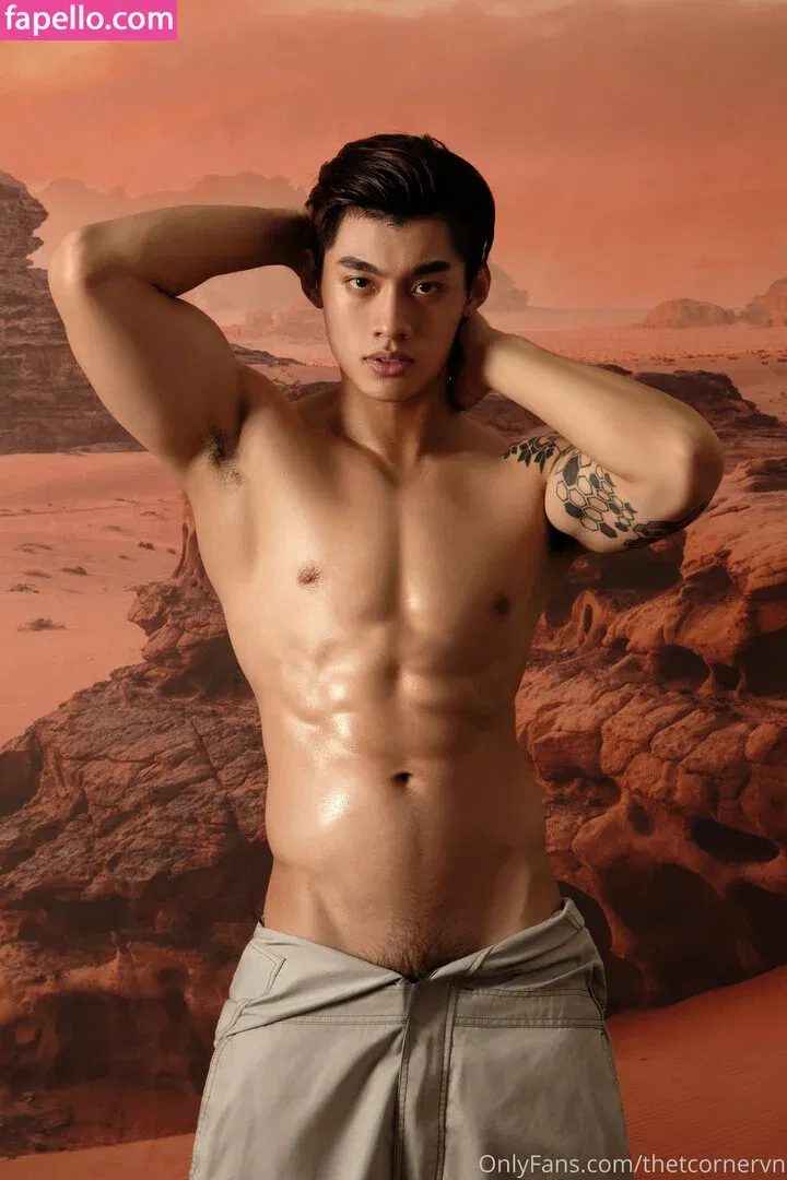 thetcorner / thetcornervn Onlyfans Photo Gallery 