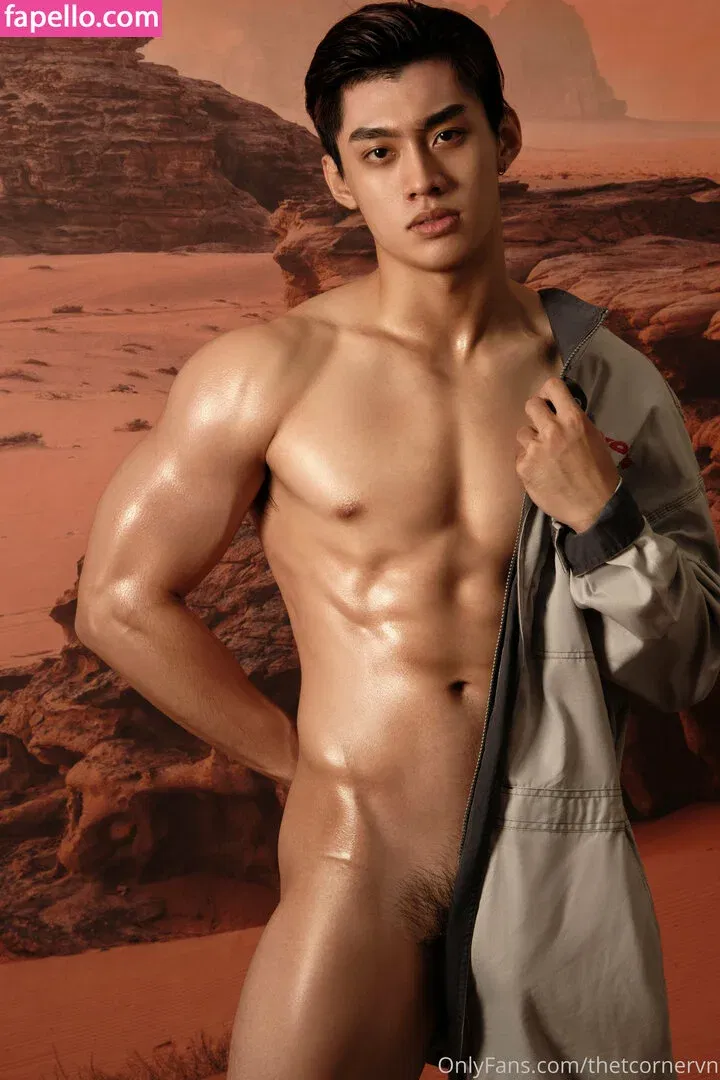 thetcorner / thetcornervn Onlyfans Photo Gallery 