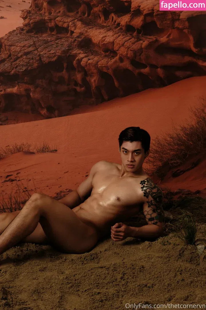 thetcorner / thetcornervn Onlyfans Photo Gallery 