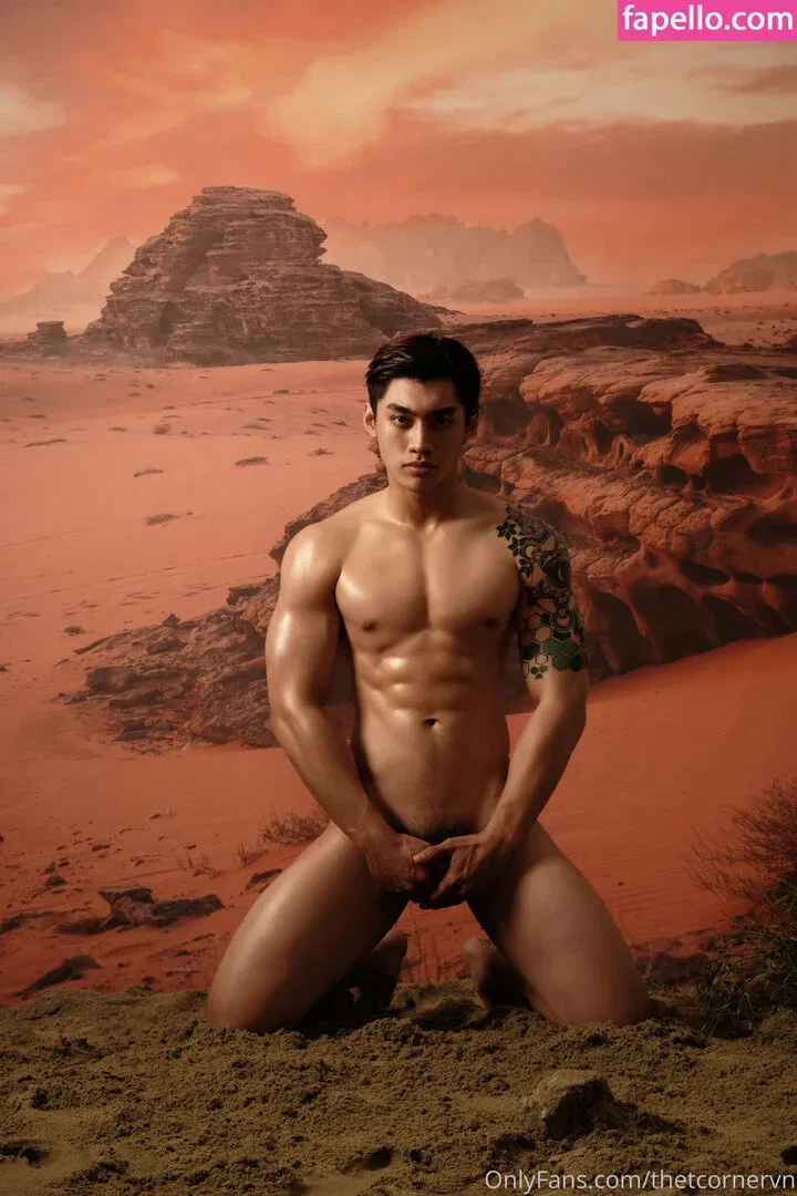 thetcorner / thetcornervn Onlyfans Photo Gallery 